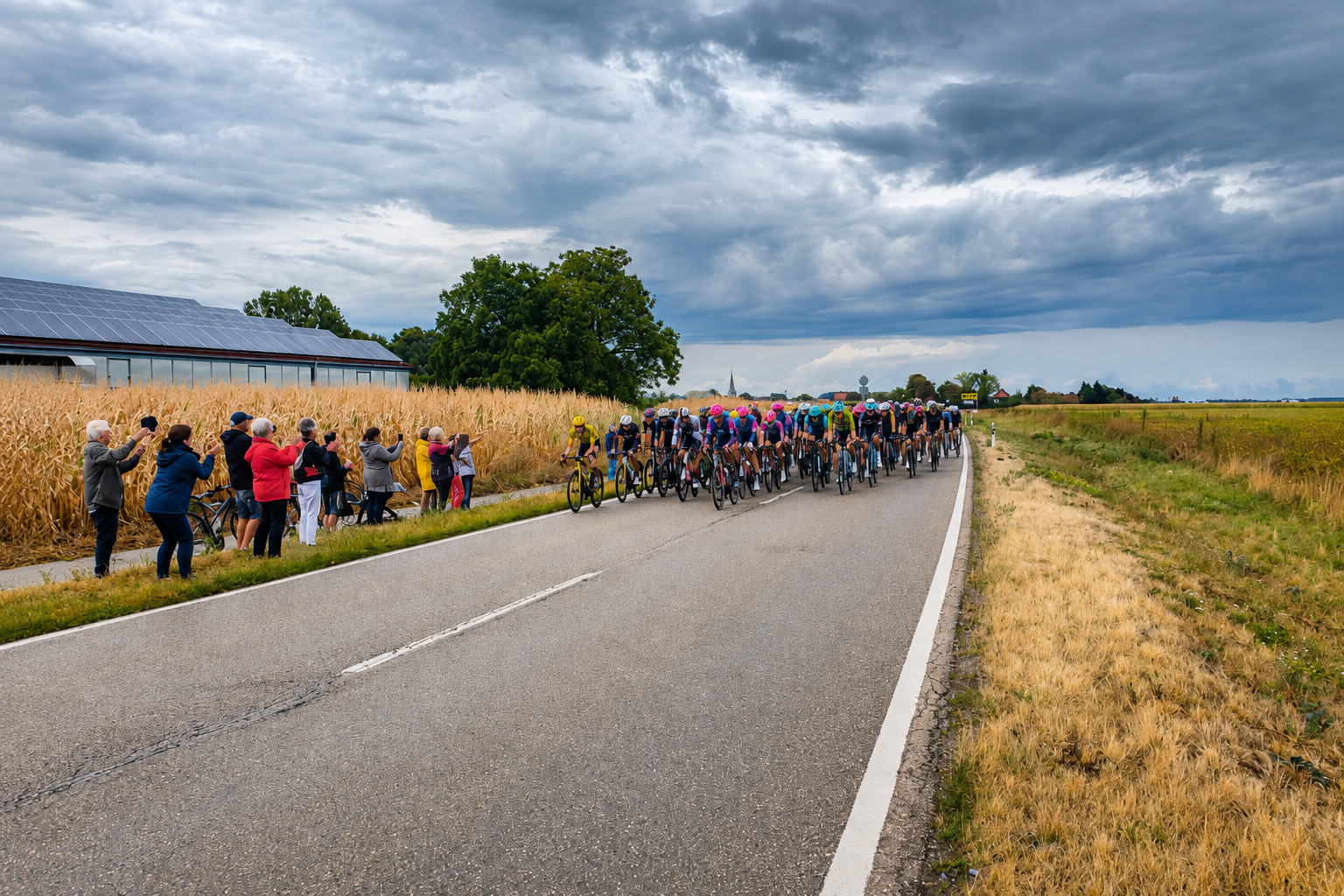 Lidl Deutschland Tour in Ottersheim: Peloton fährt durch den Kreis Germersheim